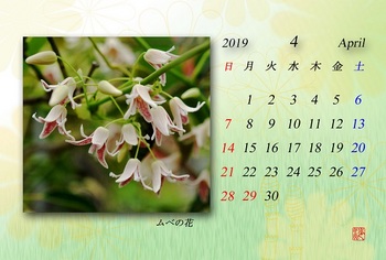 '19.4月カレンダー.jpg