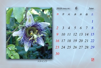 '19.6月カレンダー.jpg