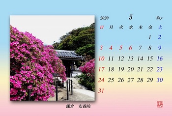 '20.5月カレンダー（鎌倉安養院）.jpg