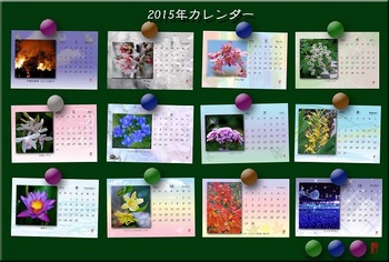 2015年カレンダー12か月.jpg