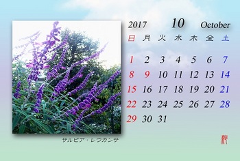 2017年10月カレンダー（サルビアレウカンサ）.jpg