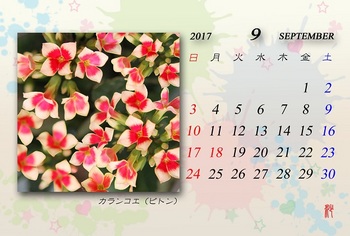 2017年９月カレンダー（ピトン）.jpg