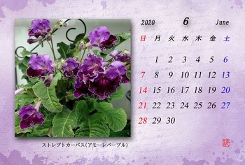2020.06月カレンダー（ストレプトカーパス）.jpg