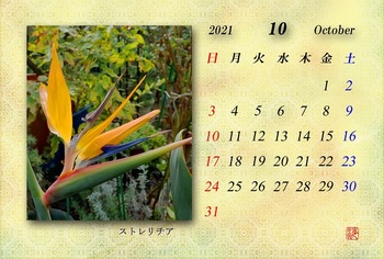 2021.10月カレンダー（ストレリチア）.jpg