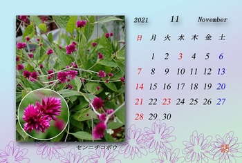 2021.11月カレンダー（千日小坊）.jpg