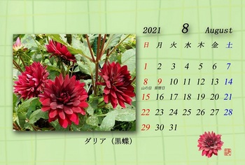 2021.8月カレンダー（ダリア黒蝶）.jpg