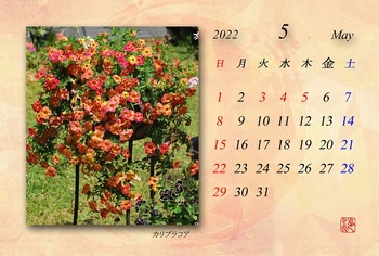 2022.5月カレンダー（カリブラコア）.jpg