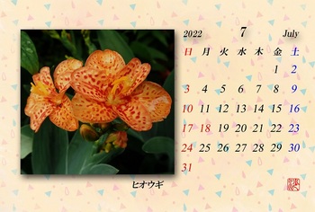 2022.7月カレンダー（ヒオウギ）1.jpg