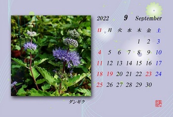 2022.9月カレンダー（ダンギク）.jpg
