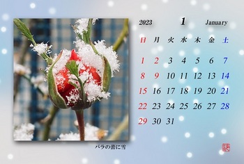 2023.1月カレンダー（バラに雪）.jpg