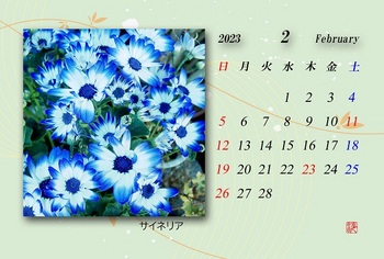 2023.2月カレンダー（サイネリア）.jpg