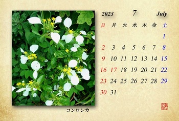 2023.7月カレンダー（コンロンカ）.jpg
