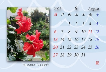2023.8月カレンダー（ハイビスカス）.jpg