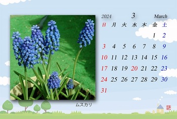 2024.3月カレンダー（ムスカリ）.jpg