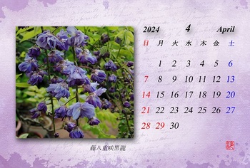 2024.4月カレンダー（藤八重黒龍）.jpg