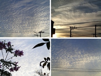 うろこ雲.jpg